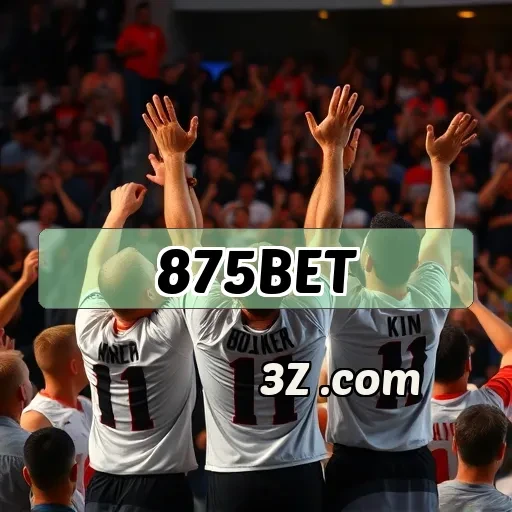 875 bet Suporte